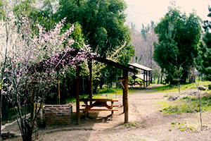 Zona de camping y picnic